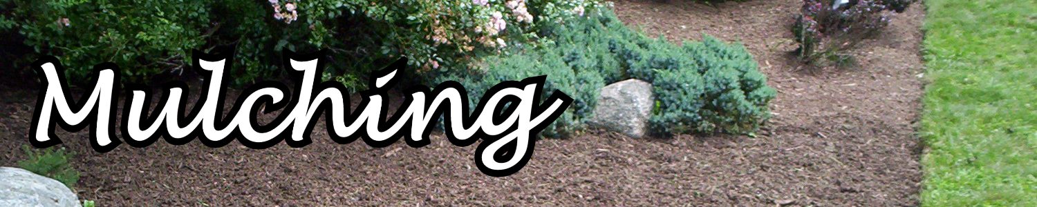 Mulching